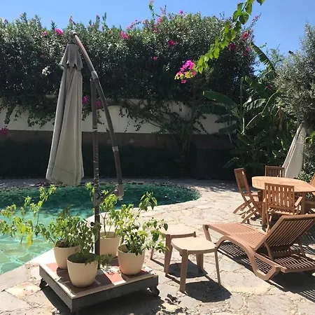 Triplex With Private Pool And Garden 别墅 博德鲁姆