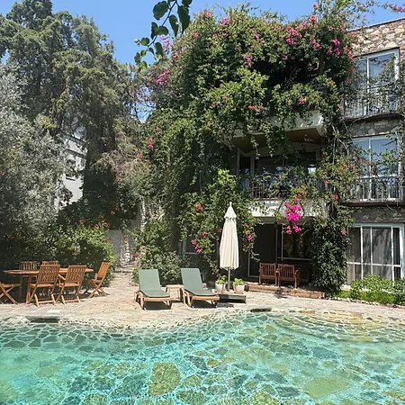 别墅 Triplex With Private Pool And Garden 博德鲁姆