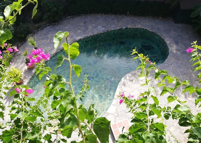 Triplex With Private Pool And Garden