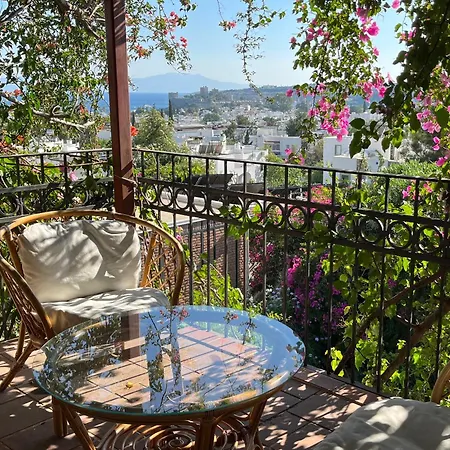 Vilă Triplex With Private Pool And Garden *